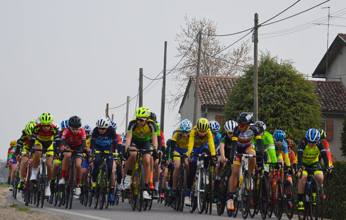 Il gruppo dei 1° anno a Salizzole