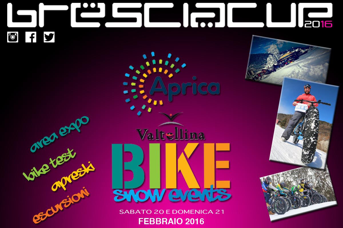 APRICA_APRESKI