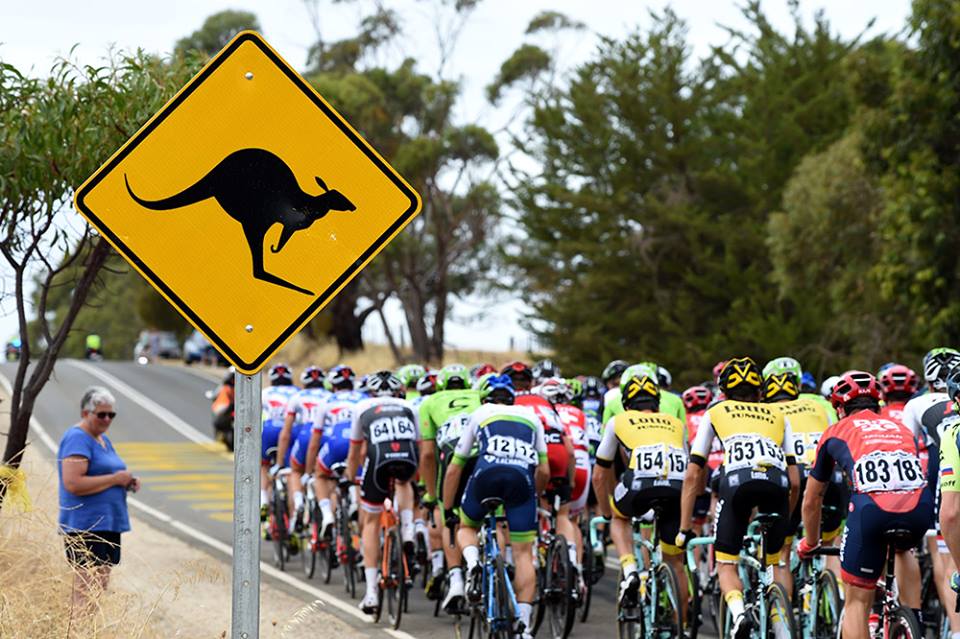 Un passaggio del Tour Down Under 2016