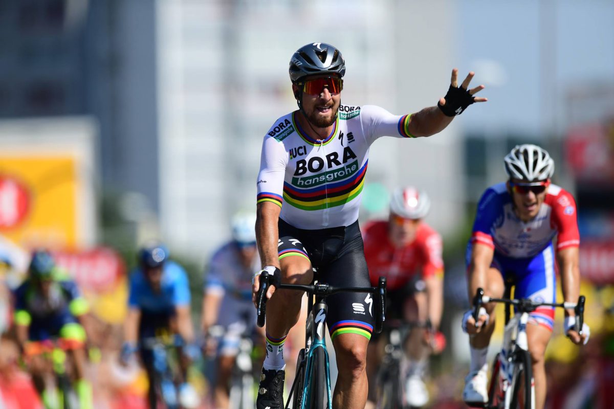 Peter Sagan vince la seconda tappa del Tour de France 2018