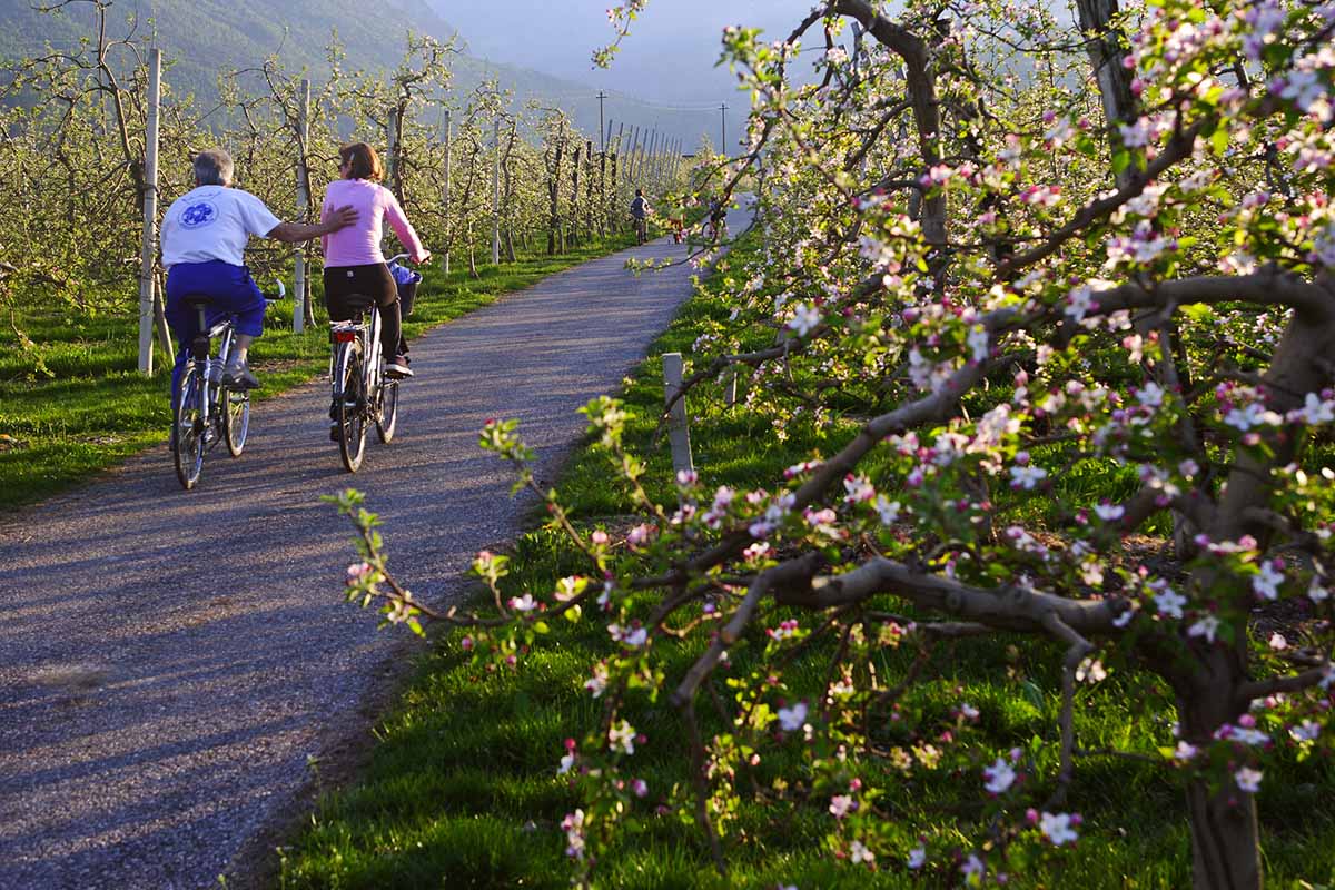 ciclabile Caldonazzo - Tagli pnrr cicloturismo