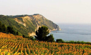 Riviera del Conero - Bike Division