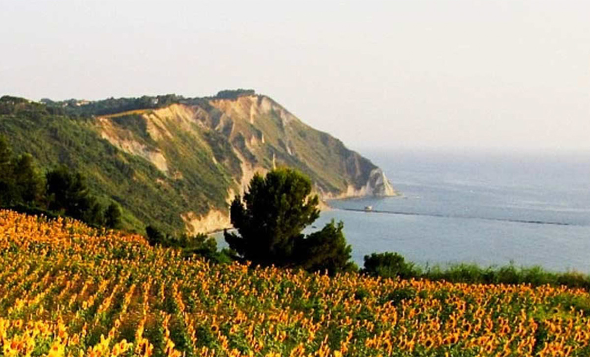 Riviera del Conero - Bike Division