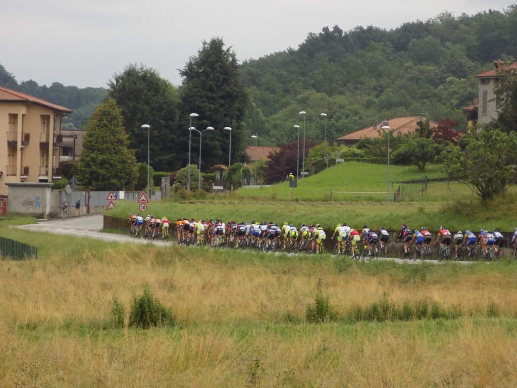 Trofeo Tecam
