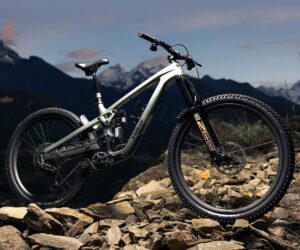 Trek Slash