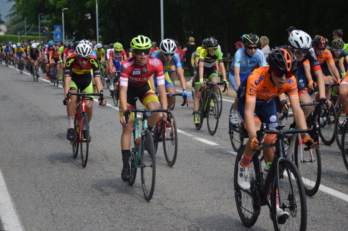 norme strada 2024 fci