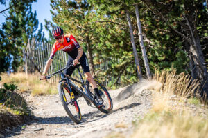 BMC Twostroke