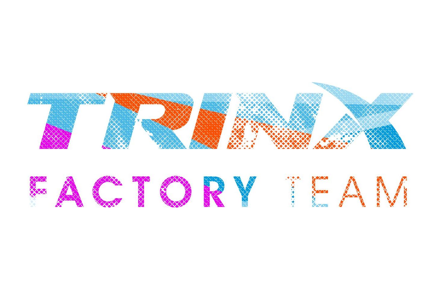 Logo Trinx Factory Team 2024