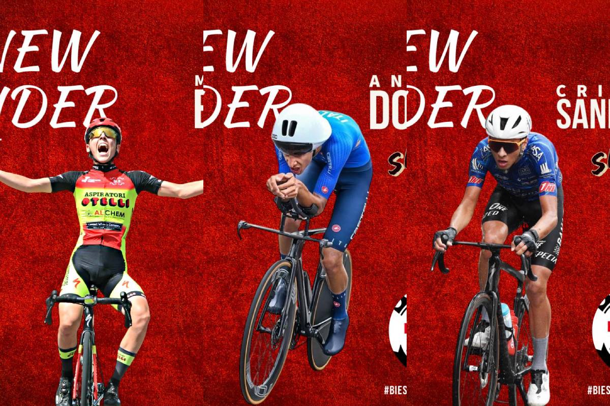 Bicelli donati sanfilippo Biesse Carrera